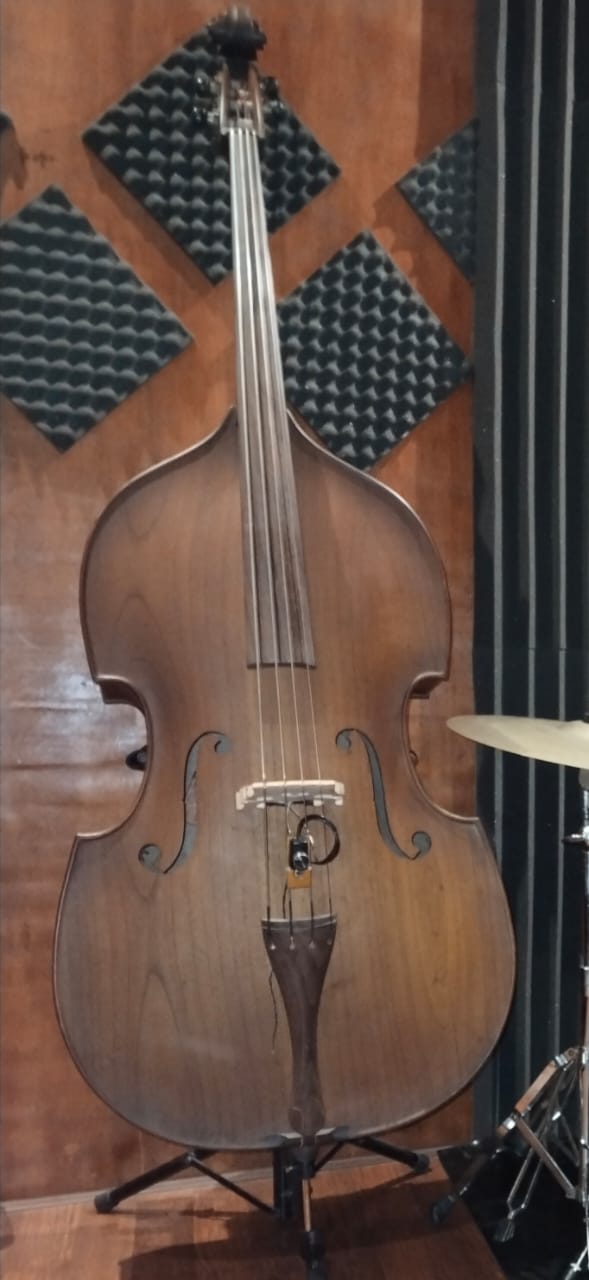 Double Bass Lesson